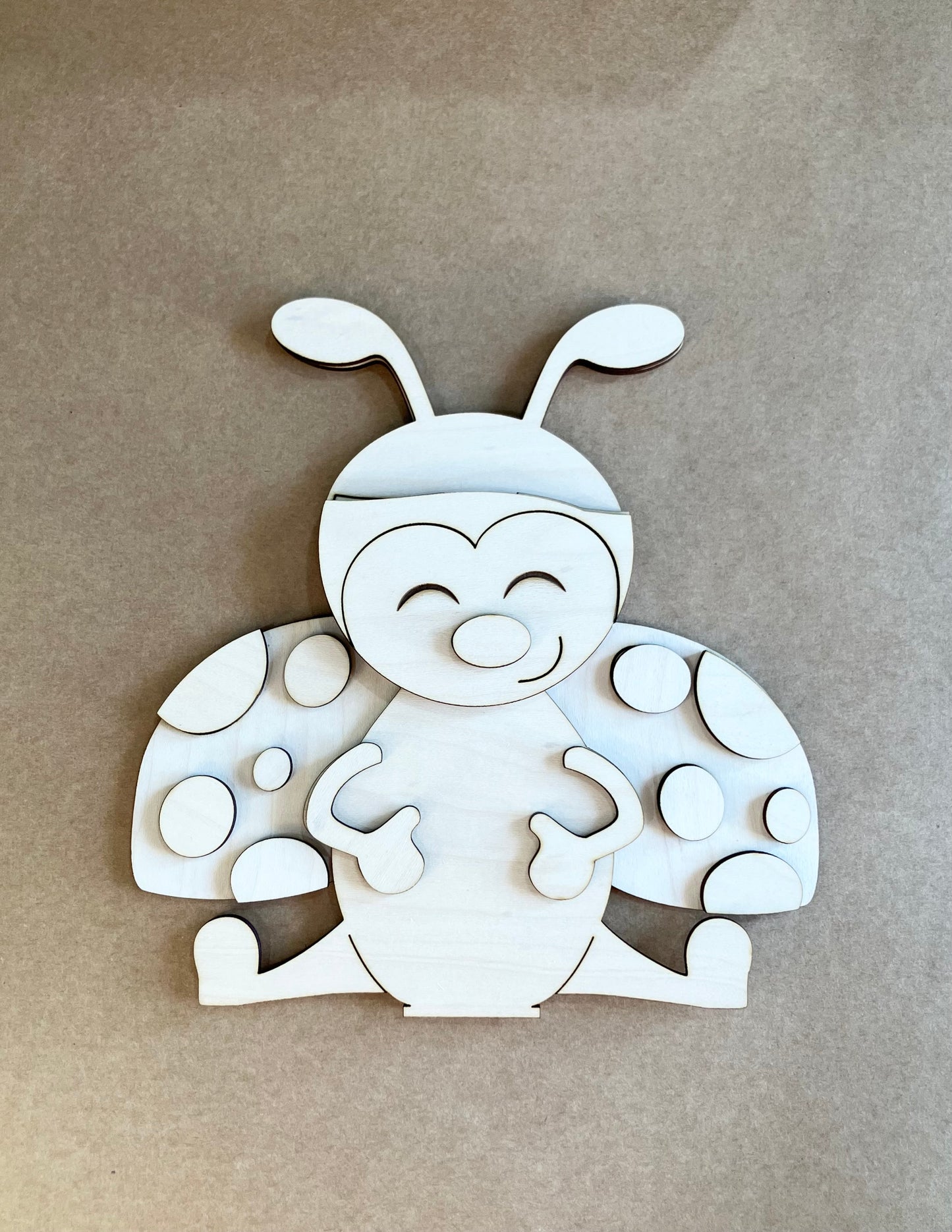 Ladybug With Interchangeable Hat