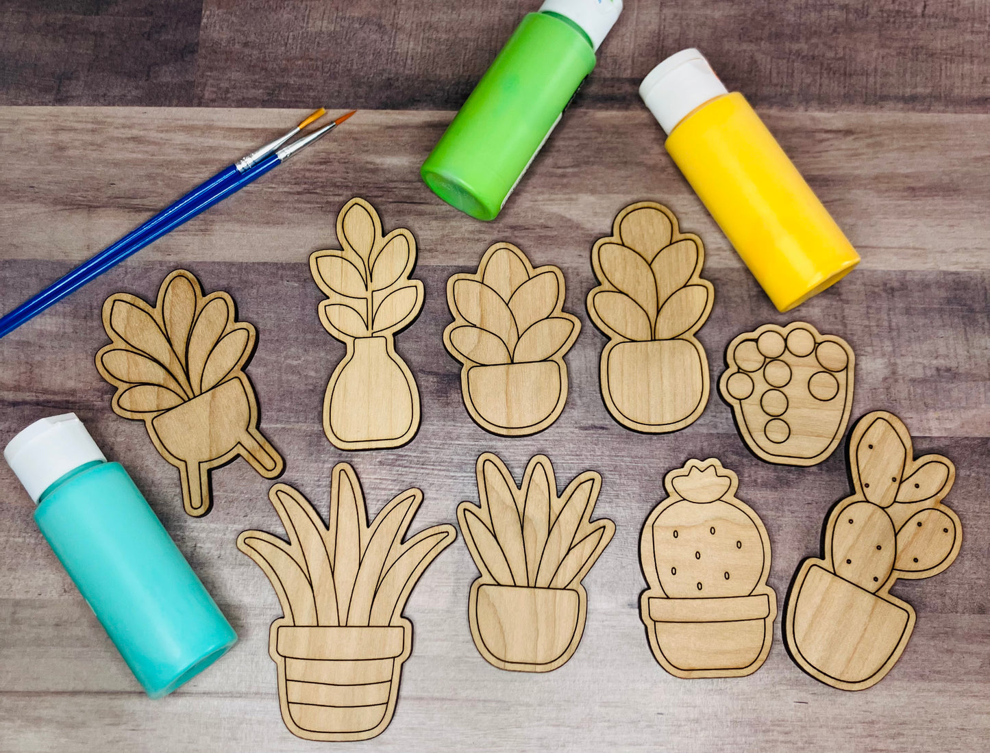 Plant Paint Kit