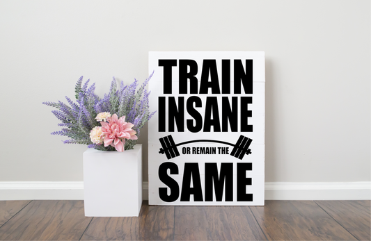 Train Insane or Remain the Same JHD0023