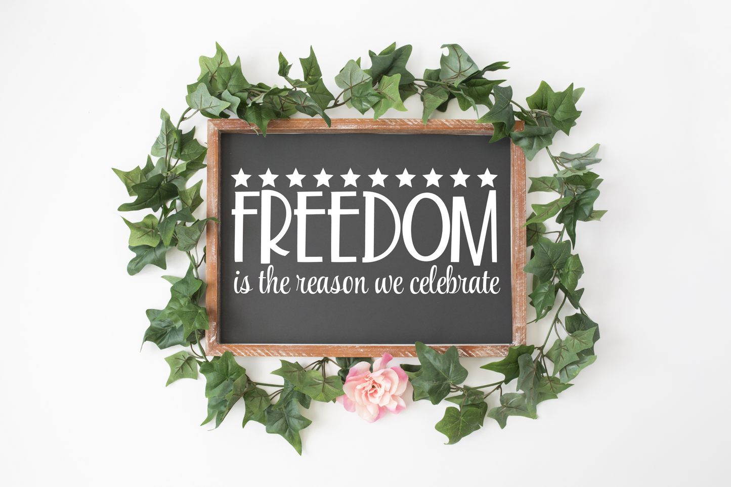 Freedom is The Reason We Celebrate JHD0092