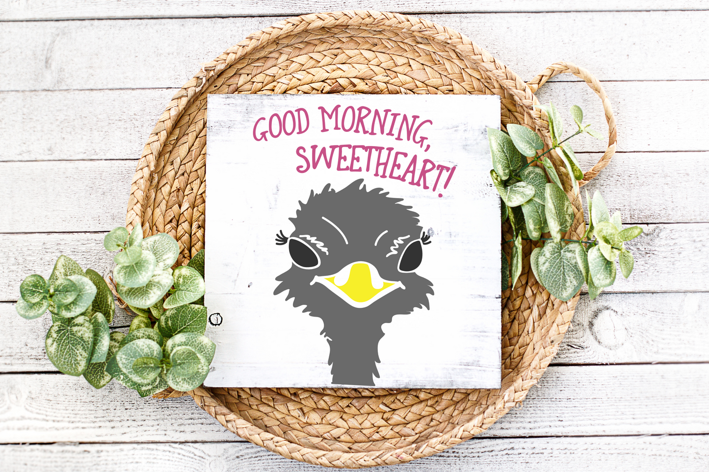 Good Morning Sweetheart Ostrich JHD0118