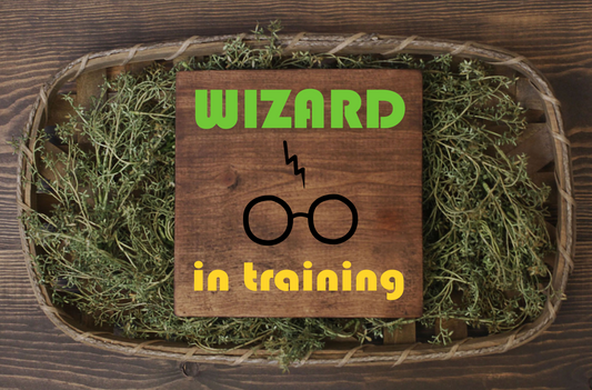 Wizard in Training JHD0154