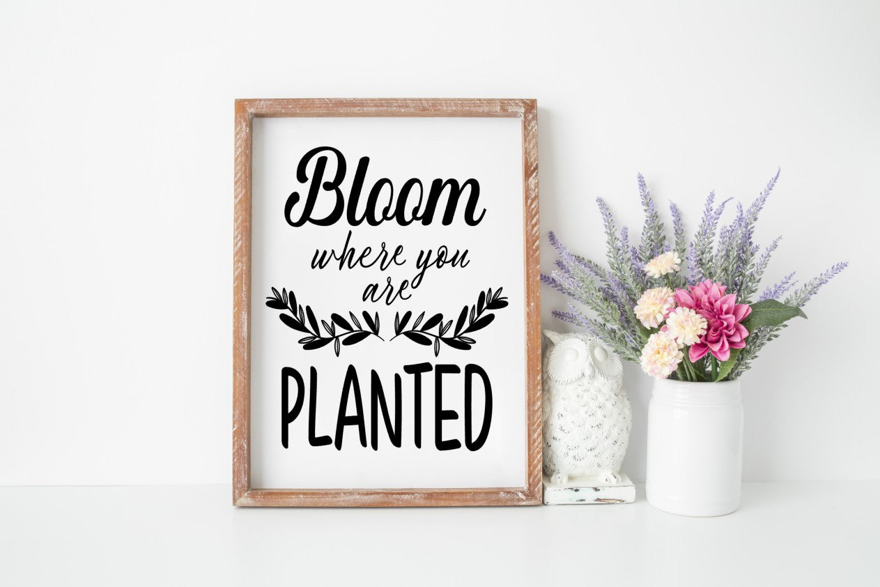 Bloom Where You Are Planted SPC0287